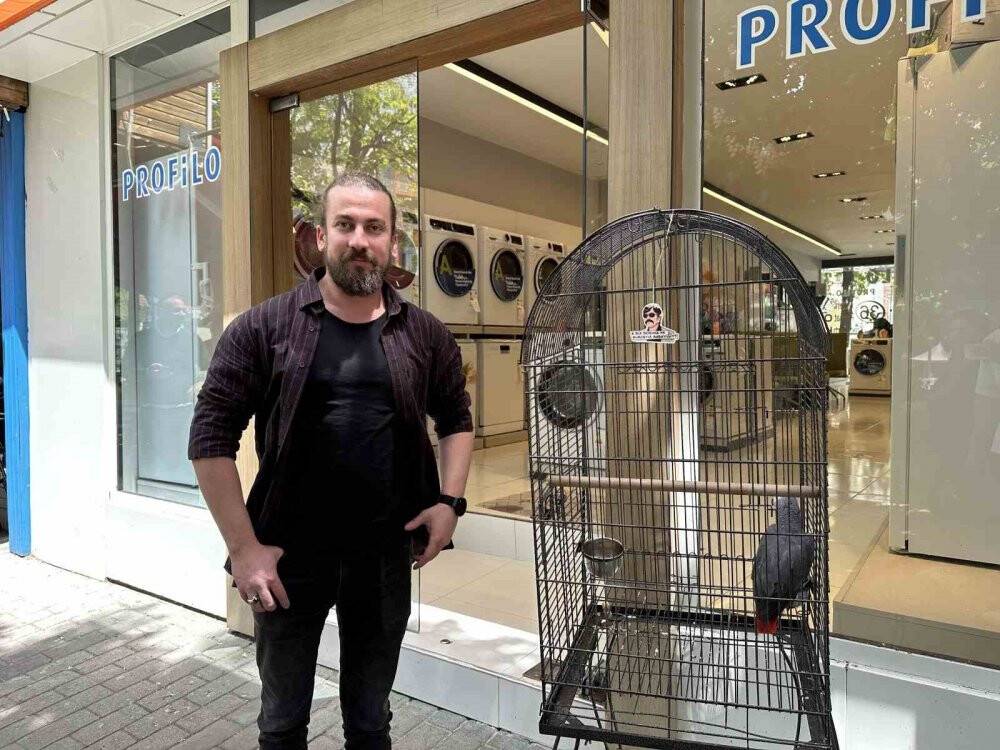 ’Pala’ isimli papağan kargalara özendi, Türkçeyi unuttu