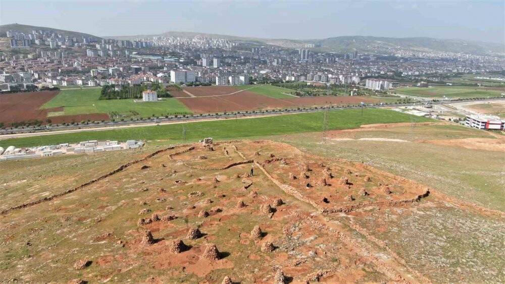 77’lik İsmail dede, dağlık araziyi ağaçlarla kapladı