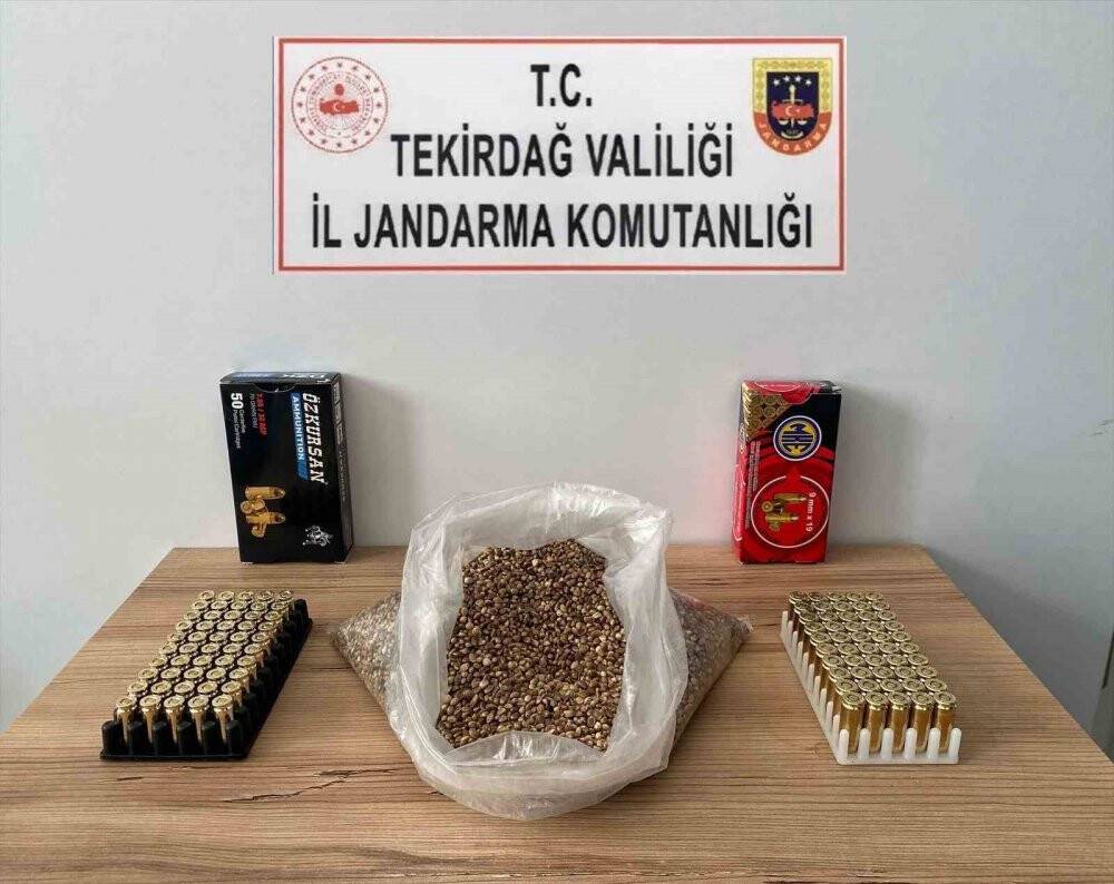 Tekirdağ’da kenevir operasyonu: 2 gözaltı