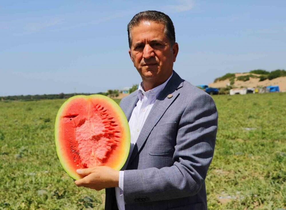 Tescilli Adana karpuzu dünya sofralarını da süslüyor