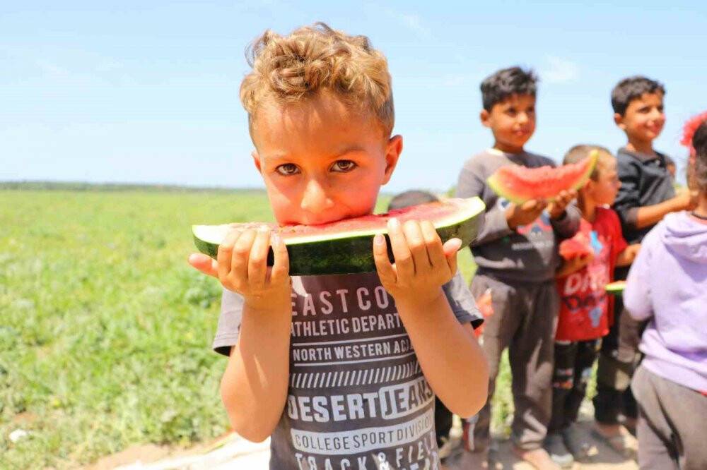 Tescilli Adana karpuzu dünya sofralarını da süslüyor