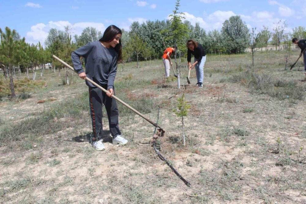 Okul bahçesine dikilen ağaçların bakımını yapıyorlar