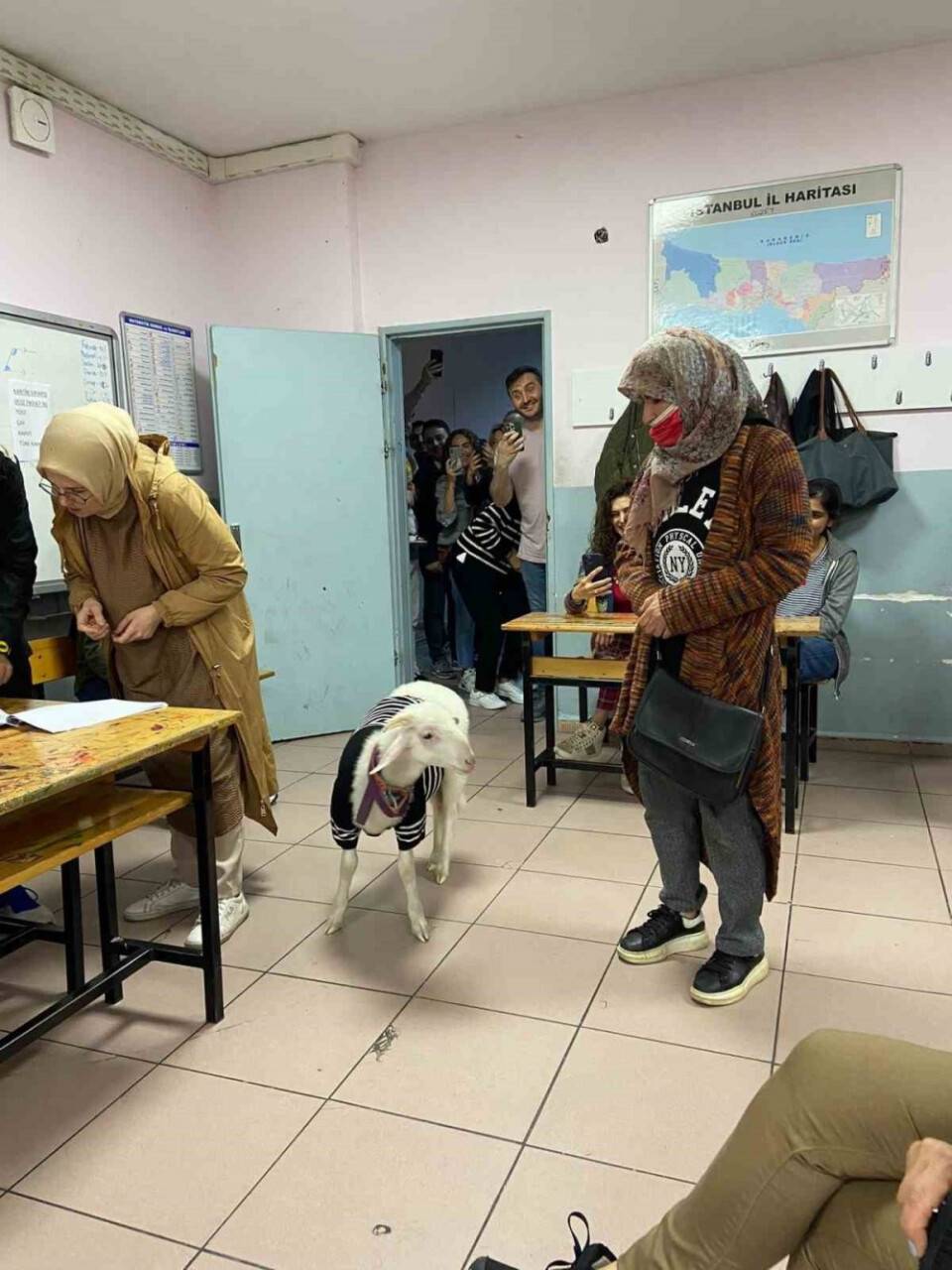 Kazak giydirdiği kuzusuyla oy kullanmaya geldi