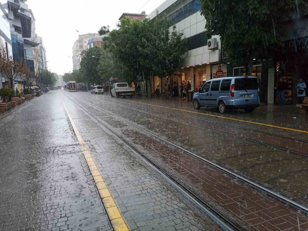 Yağmurdan korunmak için ağacın altına girdiler