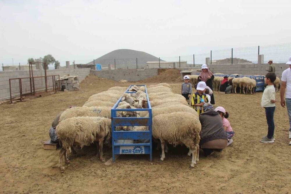 Konya’da depremzedeler doğal güzellikleri gezdi