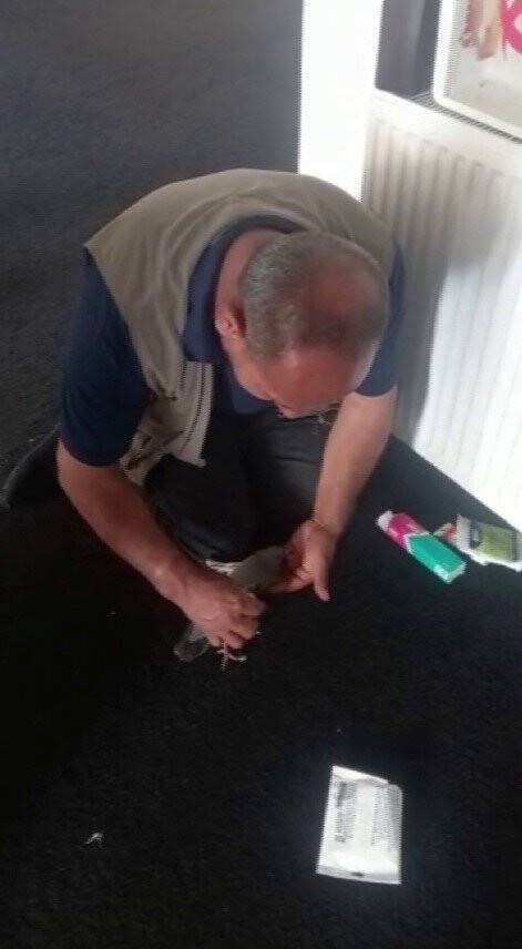 Mahsur kalan güvercin, çalışanlar tarafından kurtarıldı