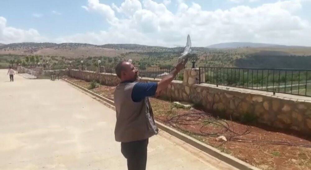 Mahsur kalan güvercin, çalışanlar tarafından kurtarıldı