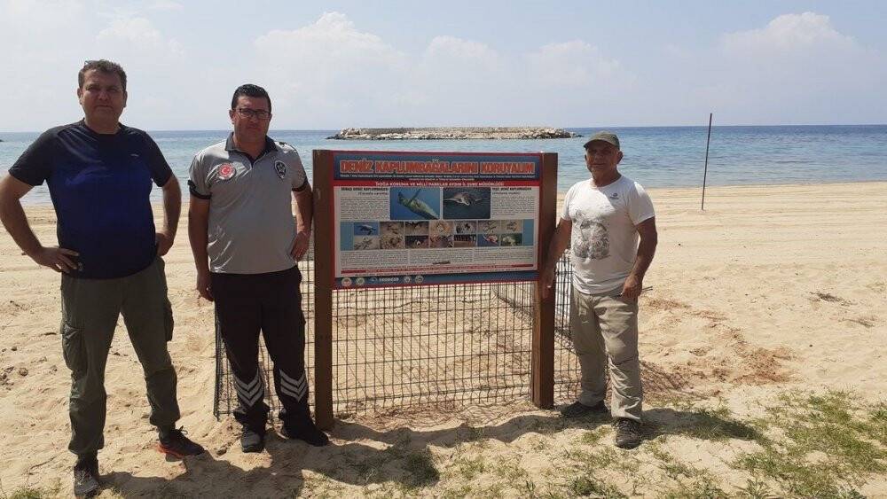 Caretta caretta, Didim sahiline yumurtalarını bıraktı
