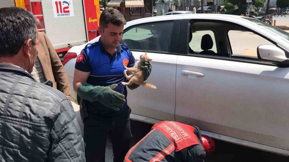 Otomobilin motoruna giren yavru kedi için seferber oldular