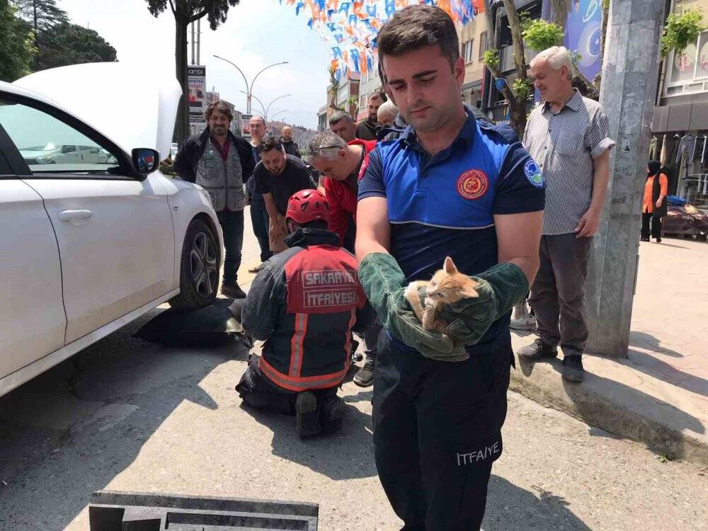 Otomobilin motoruna giren yavru kedi için seferber oldular
