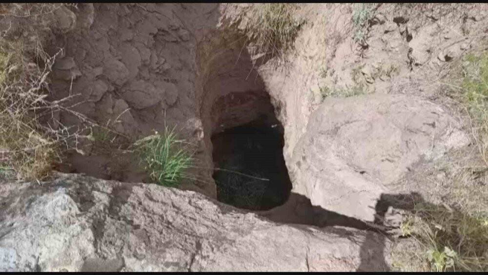 Definecilerin kazdığı çukurda mahsur kalan kaplumbağalar kurtarılmayı bekliyor