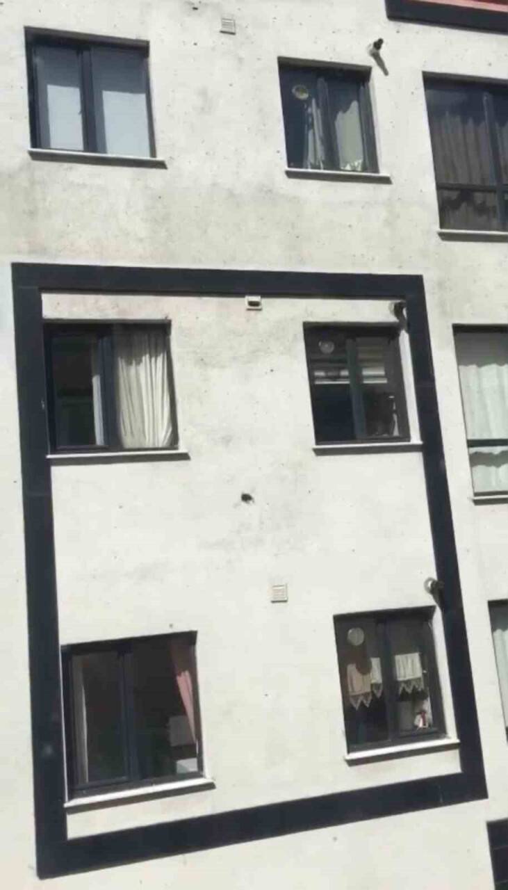 Toplu arı paniği kamerada: Vatandaşlar pencereleri açamadı