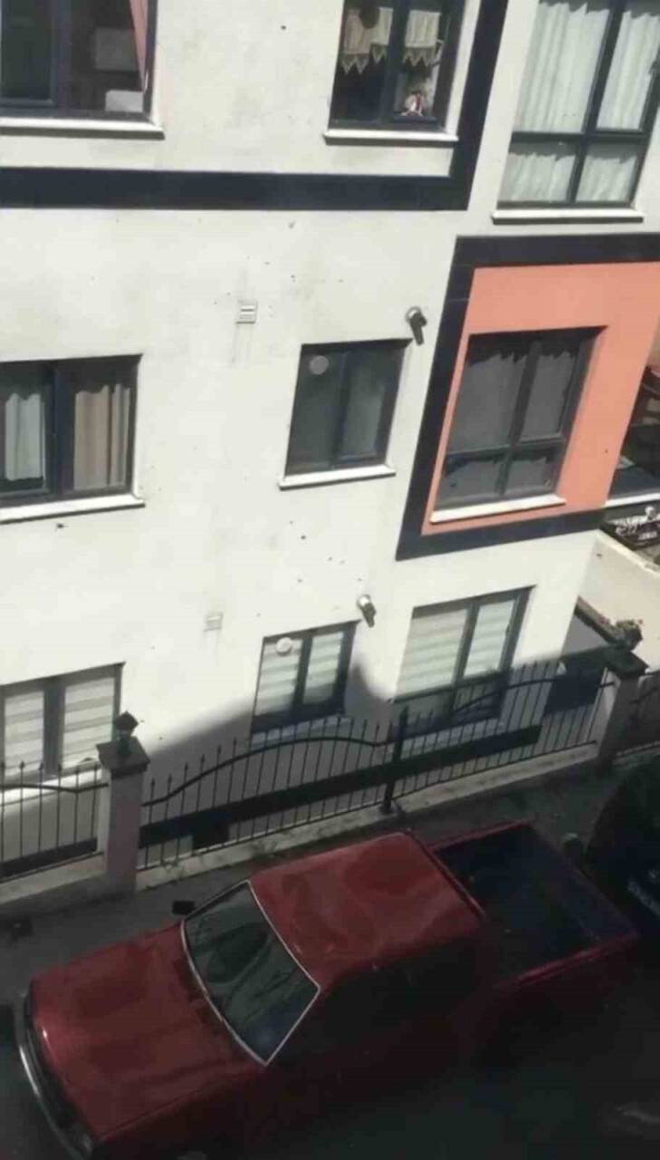 Toplu arı paniği kamerada: Vatandaşlar pencereleri açamadı