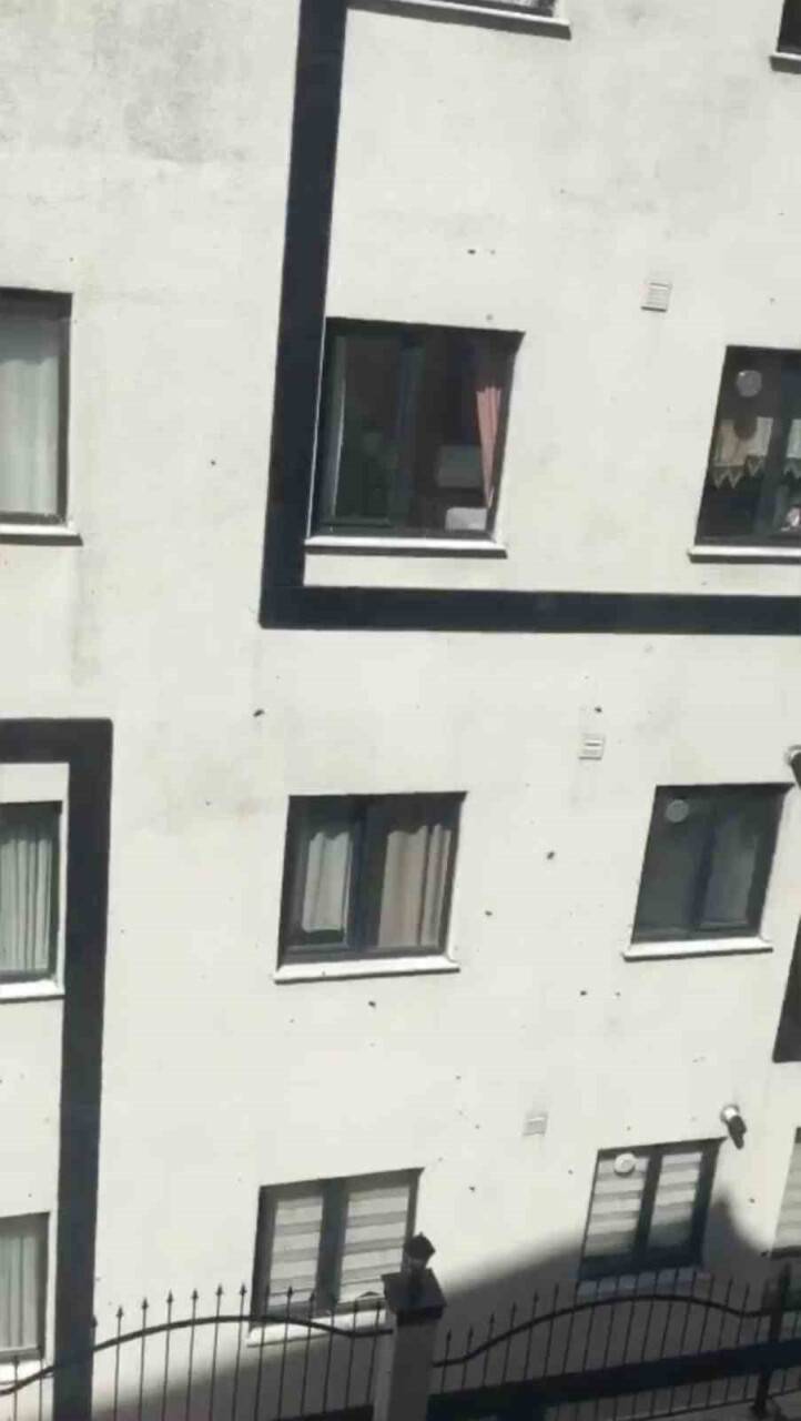 Toplu arı paniği kamerada: Vatandaşlar pencereleri açamadı
