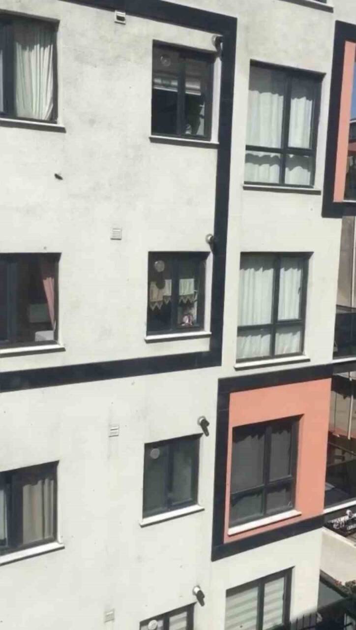 Toplu arı paniği kamerada: Vatandaşlar pencereleri açamadı