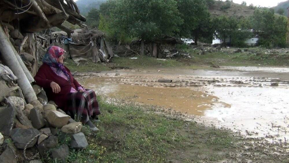 Sağanak yağış çeltik arazilerine zarar verdi