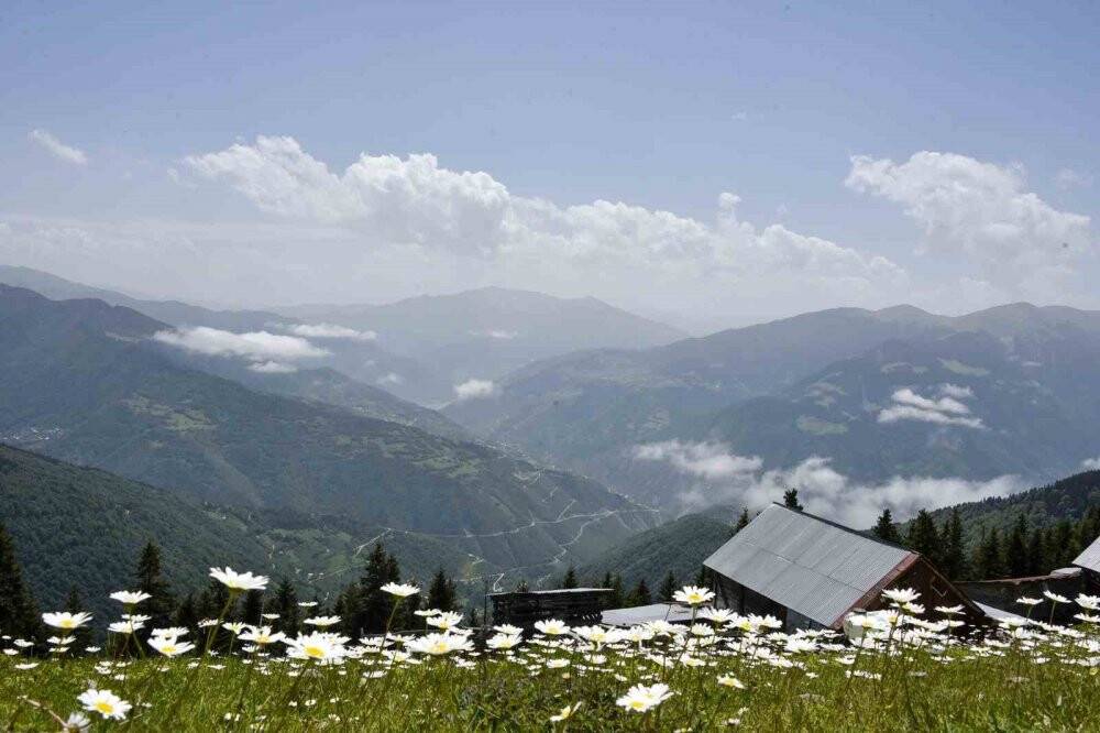 Gümüşhane yaylalarında büyüleyici manzaralar