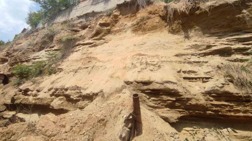 İki komşuya korkulu dolu anlar yaşattı