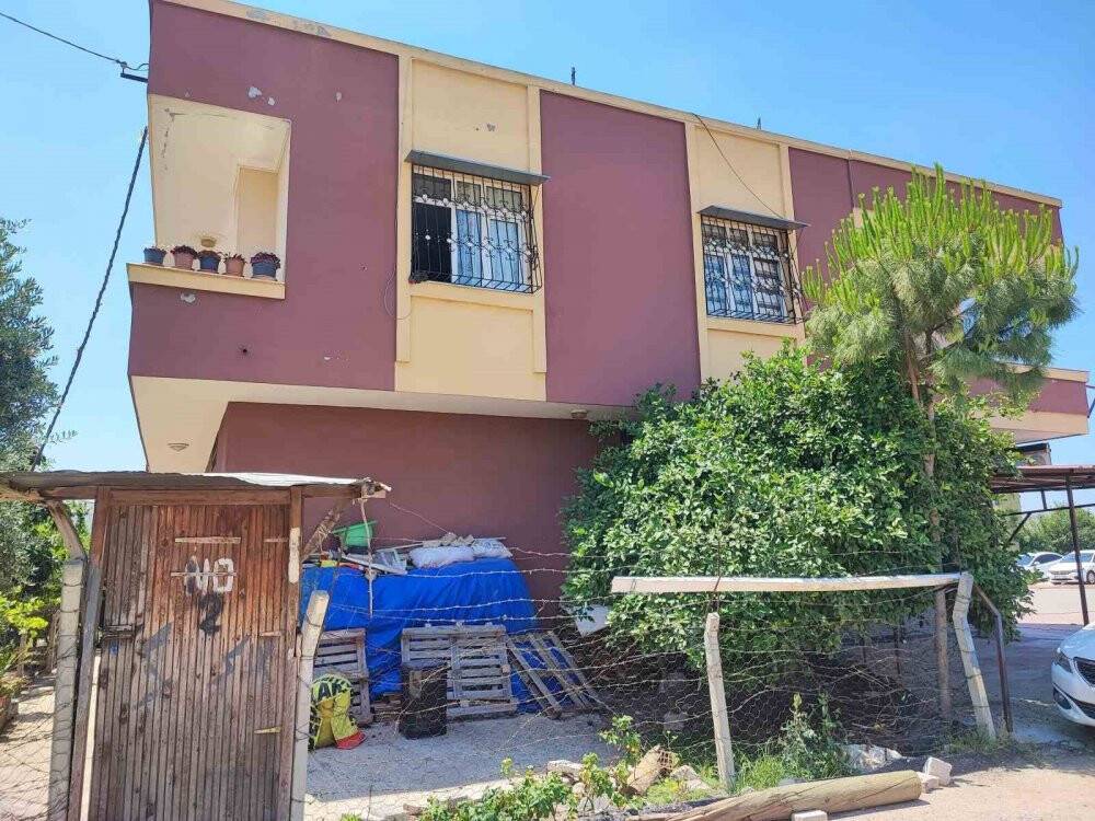 Pişkinlikleri pes dedirtti!