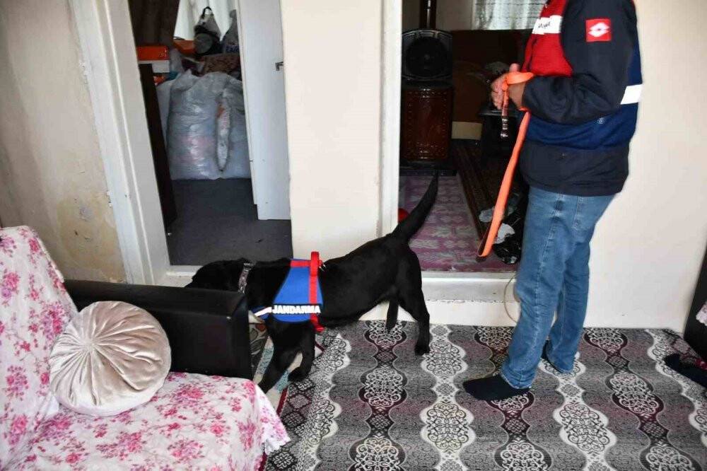 5 ilde eş zamanlı operasyon: 57 gözaltı