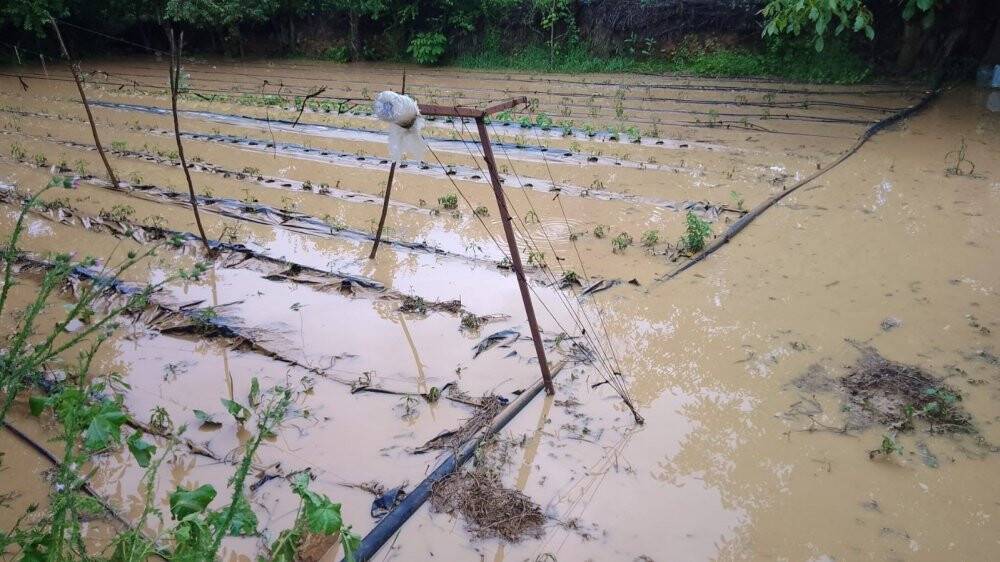 Hüyük sağanak yağış ve doluya teslim oldu