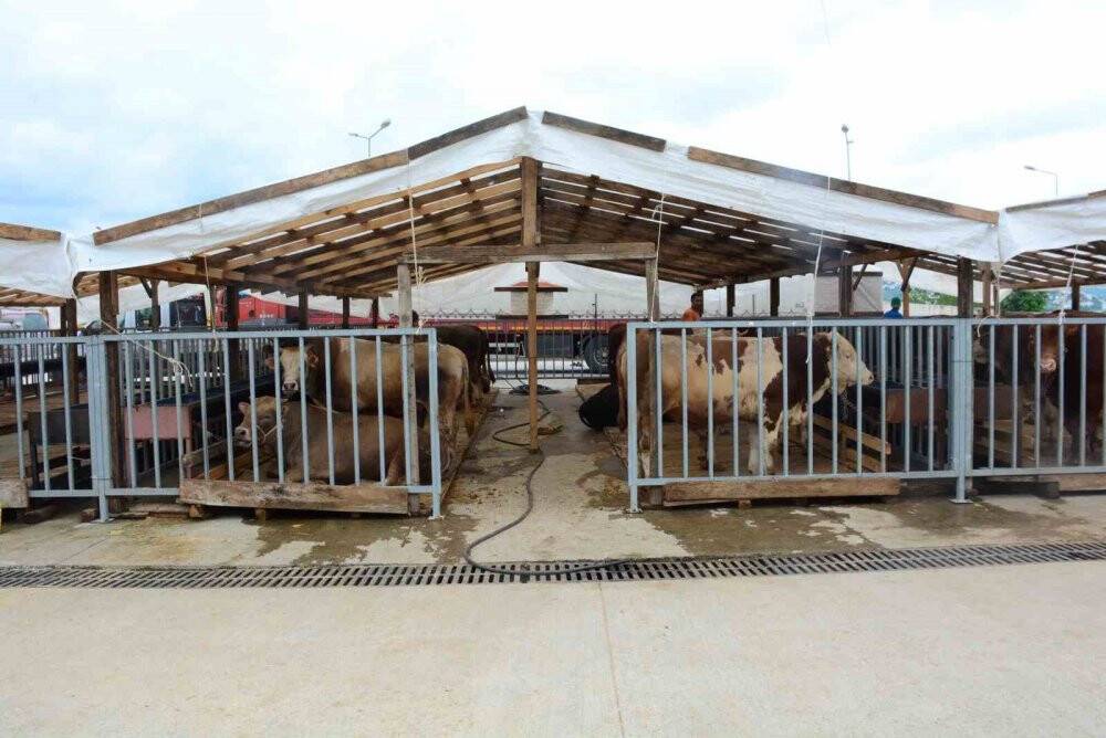 Kurban kesecekler dikkat