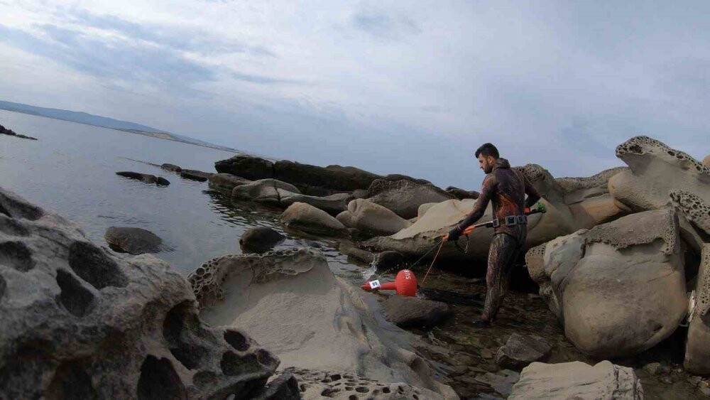 İstanbul’da 4 metrelik zehirli denizanası böyle görüntülendi