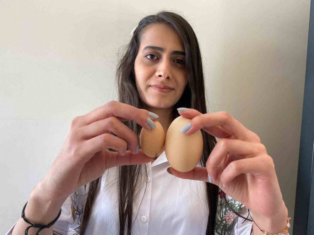 Tavuğun yaptığı mini yumurta şaşırttı