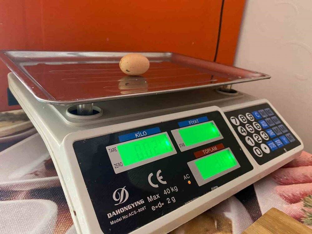 Tavuğun yaptığı mini yumurta şaşırttı