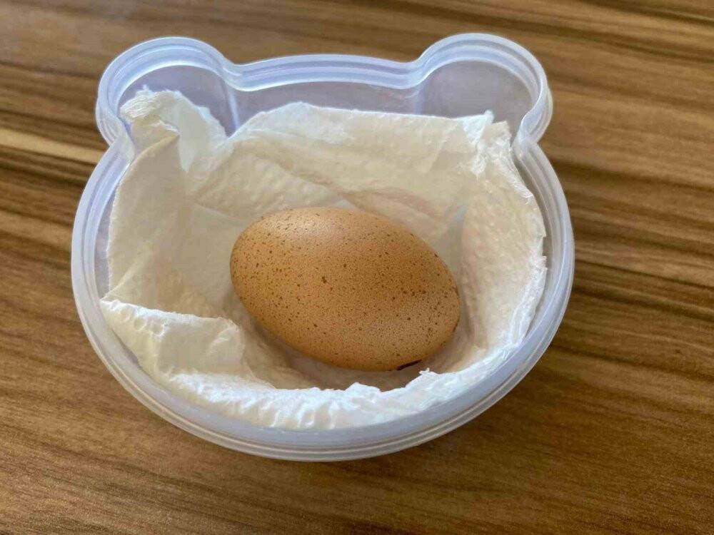 Tavuğun yaptığı mini yumurta şaşırttı