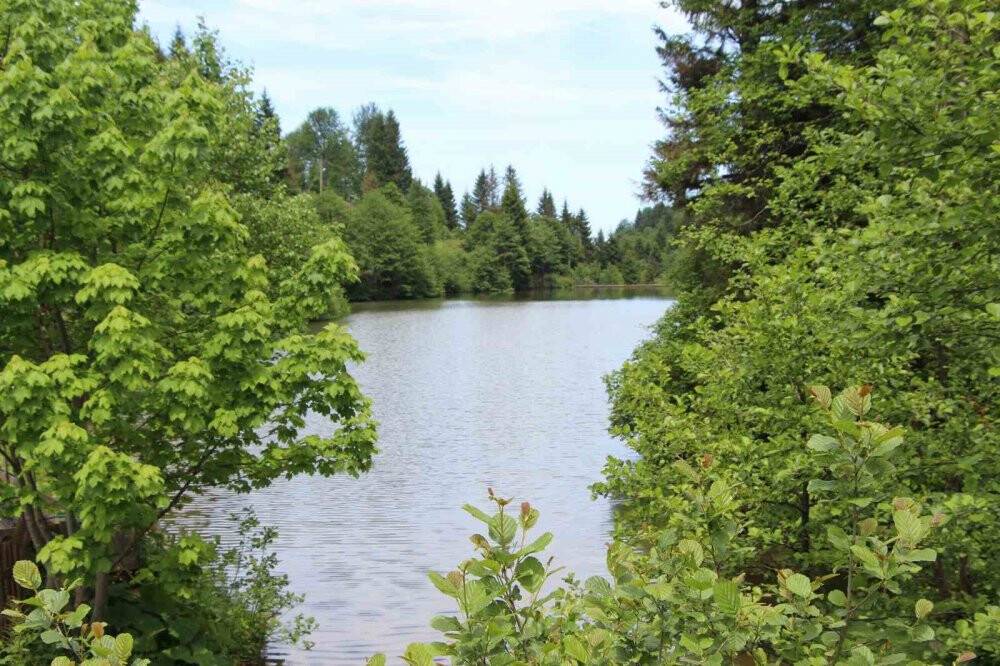 Trabzon’un saklı güzelliği: Balıklı Göl