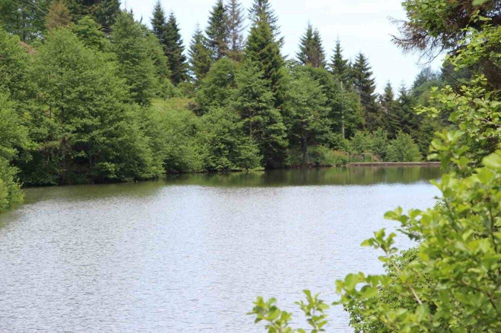 Trabzon’un saklı güzelliği: Balıklı Göl