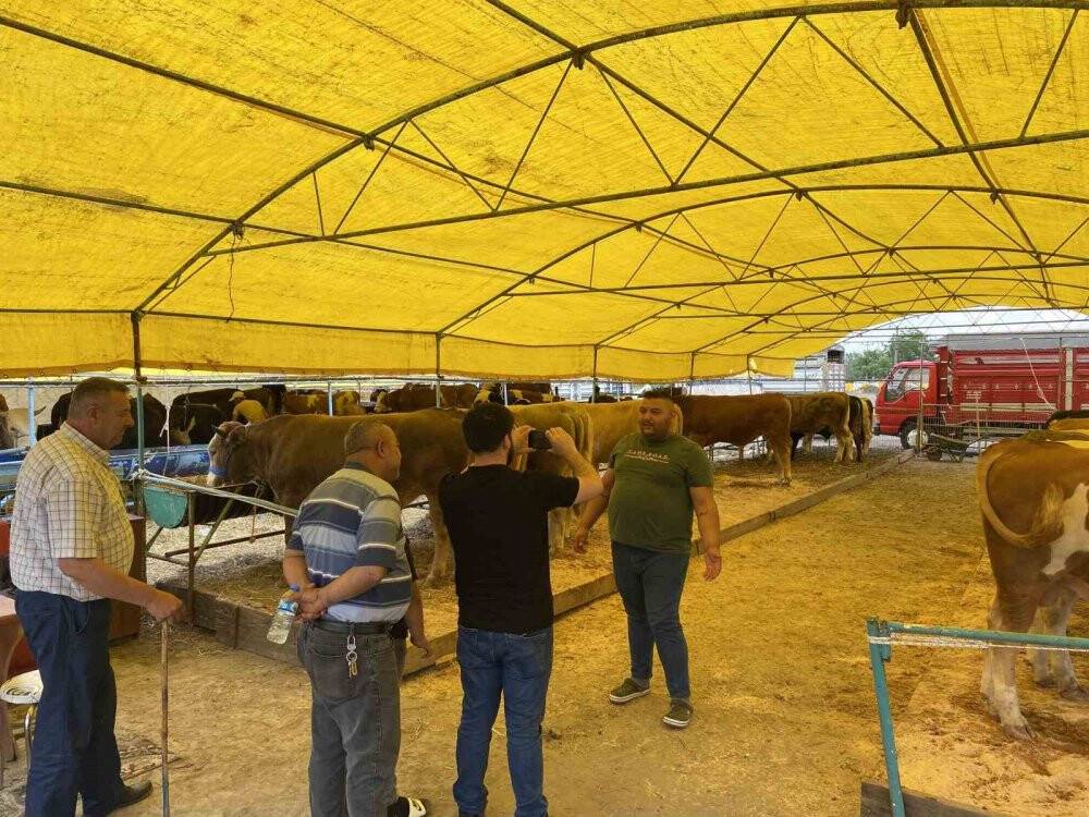 1.075 kiloluk dev dana