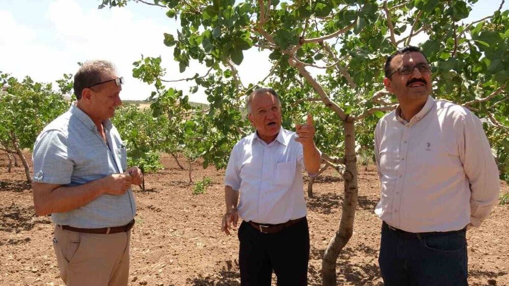 Siirt’ten ülke ekonomisine 10 milyar TL katkı