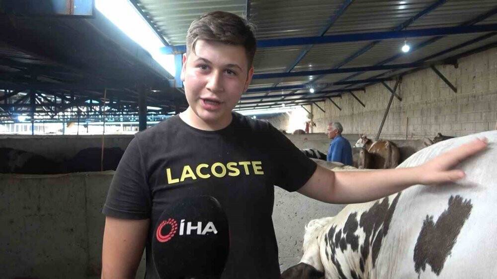 Bursa’nın en ağır büyükbaş kurbanlığı 1 ton 50 kilogram ağırlığı ile “Paşa”