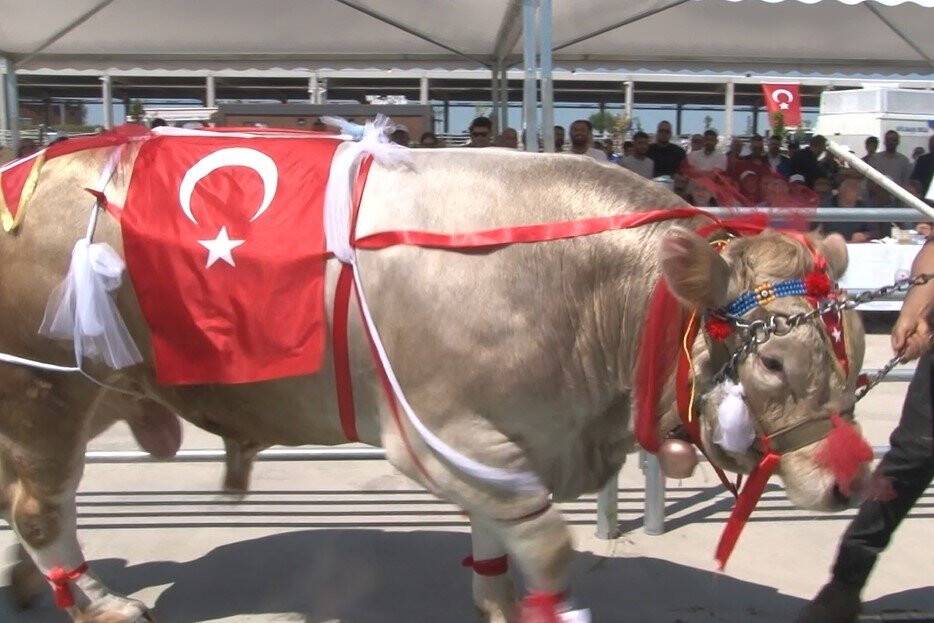 En güzel kurban seçildi