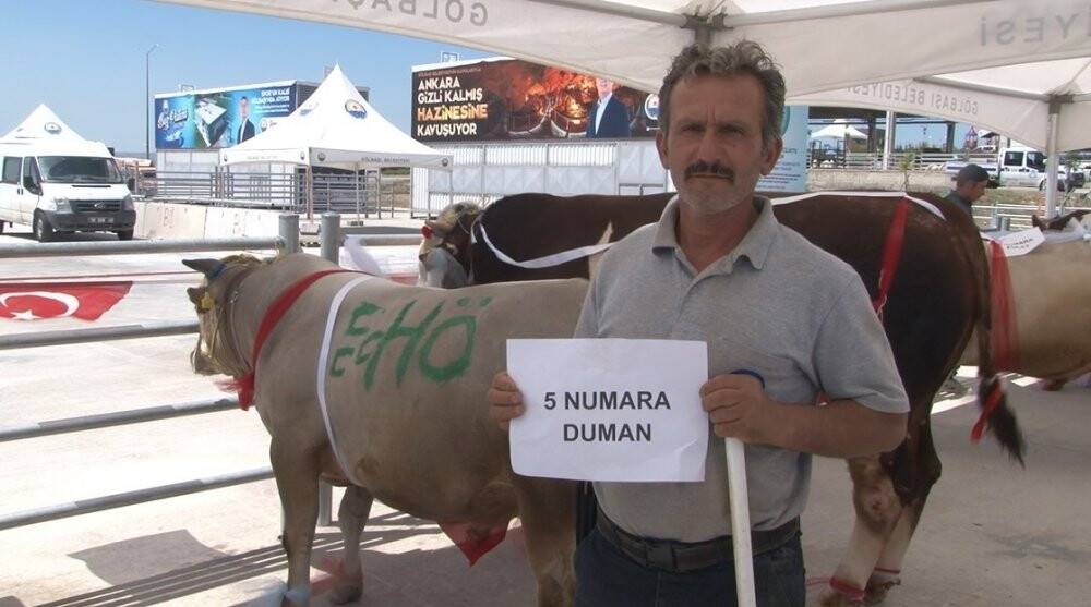 En güzel kurban seçildi
