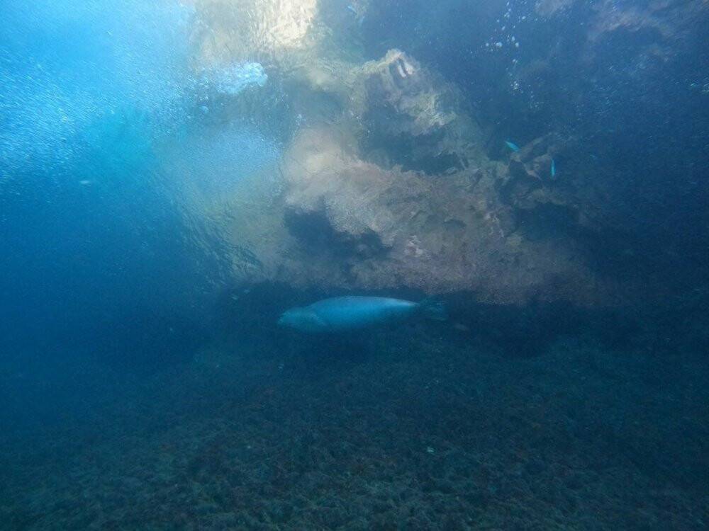 Antalya’da turistlerin yeni cazibesi noktası dünyaca ünlü falezlerin mağaraları