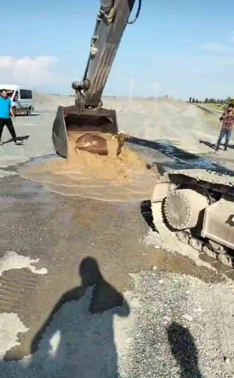 Operatör su kanalına düşen boğayı kepçeyle kurtardı