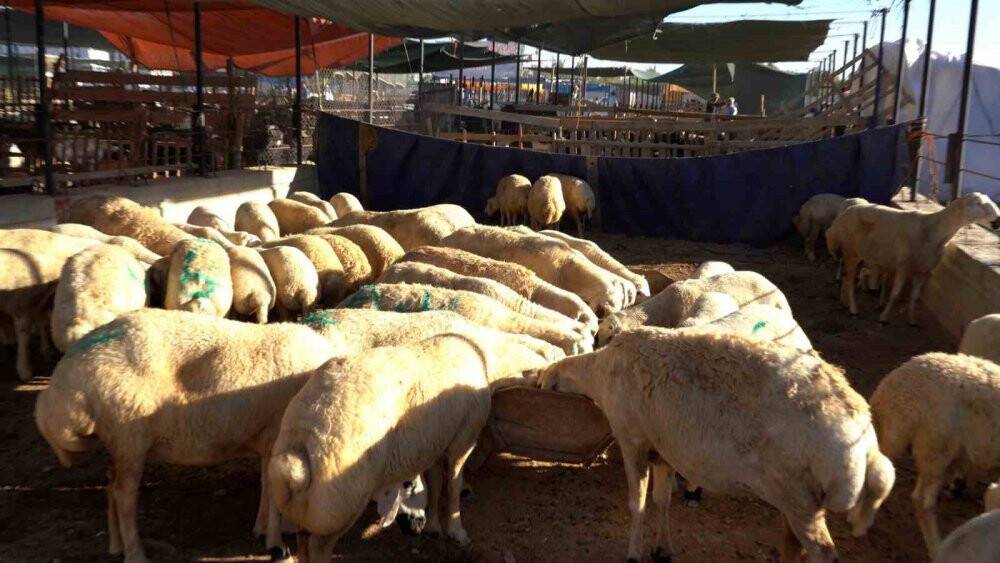 Selçuklu'da Kurban Bayramı için tüm tedbirleri alındı