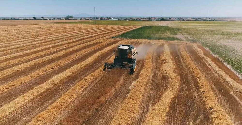 Aksaray’da yağışlar ürün rekoltesini 2 katına çıkardı