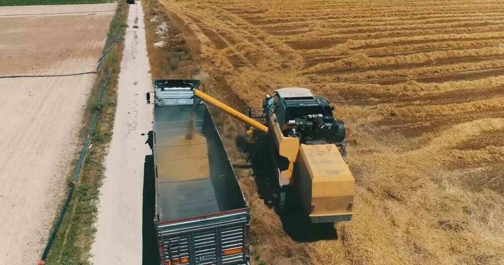 Aksaray’da yağışlar ürün rekoltesini 2 katına çıkardı