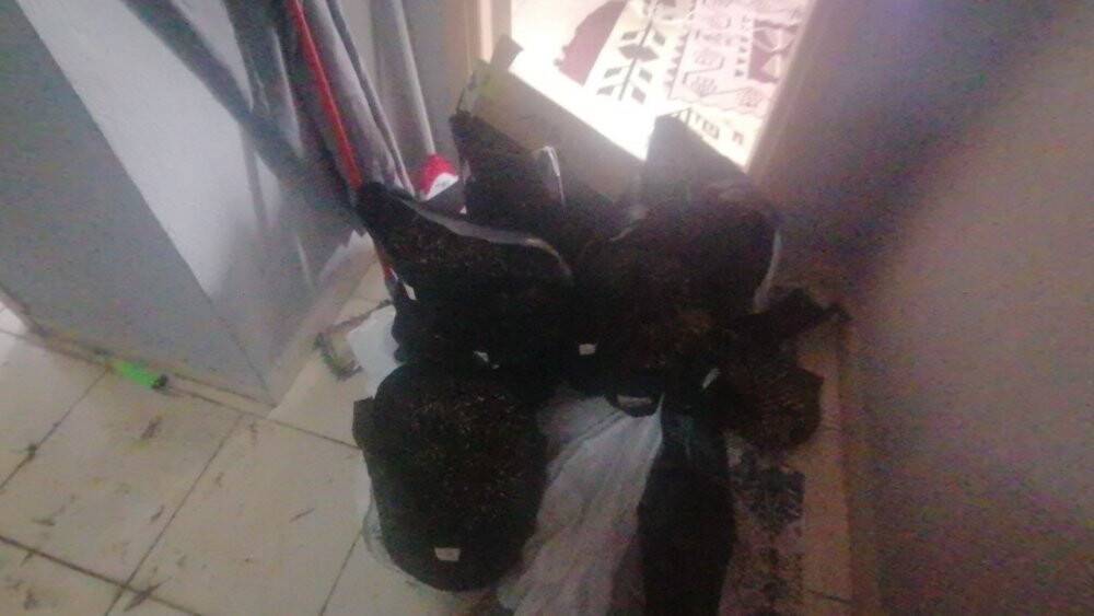 Karşılıklı kiraladıkları dairede, uyuşturucu laboratuvarı kurmuşlar