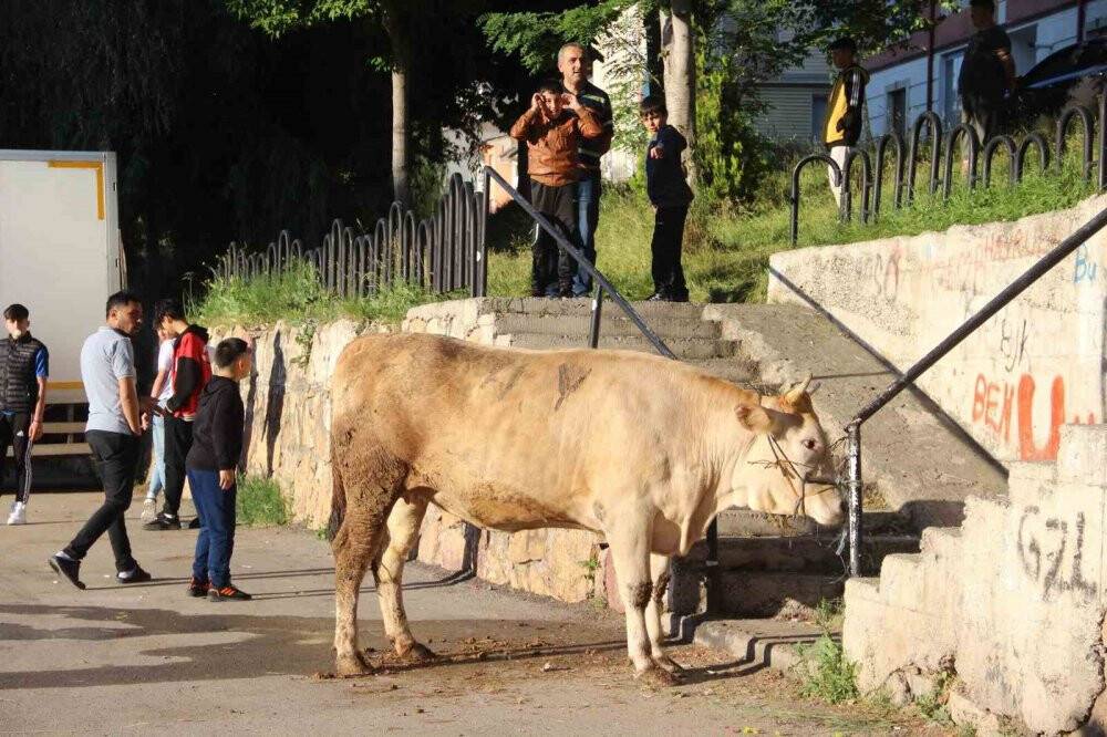 Kurban kesim alanları oyun parkına döndü
