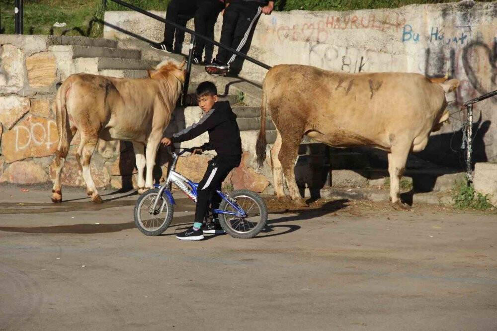 Kurban kesim alanları oyun parkına döndü