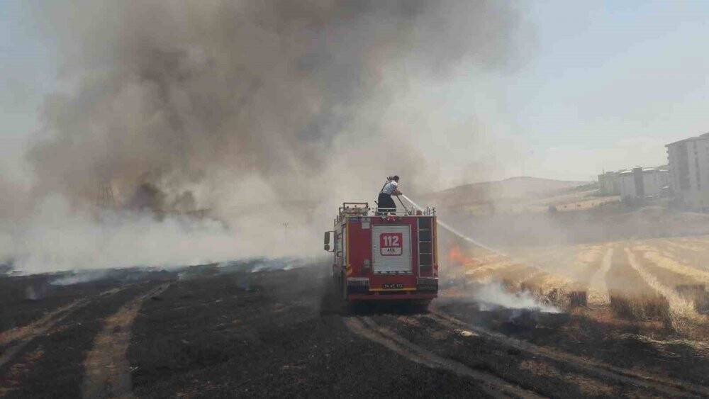 Siirt’te 130 dekar tarım arazisi küle döndü