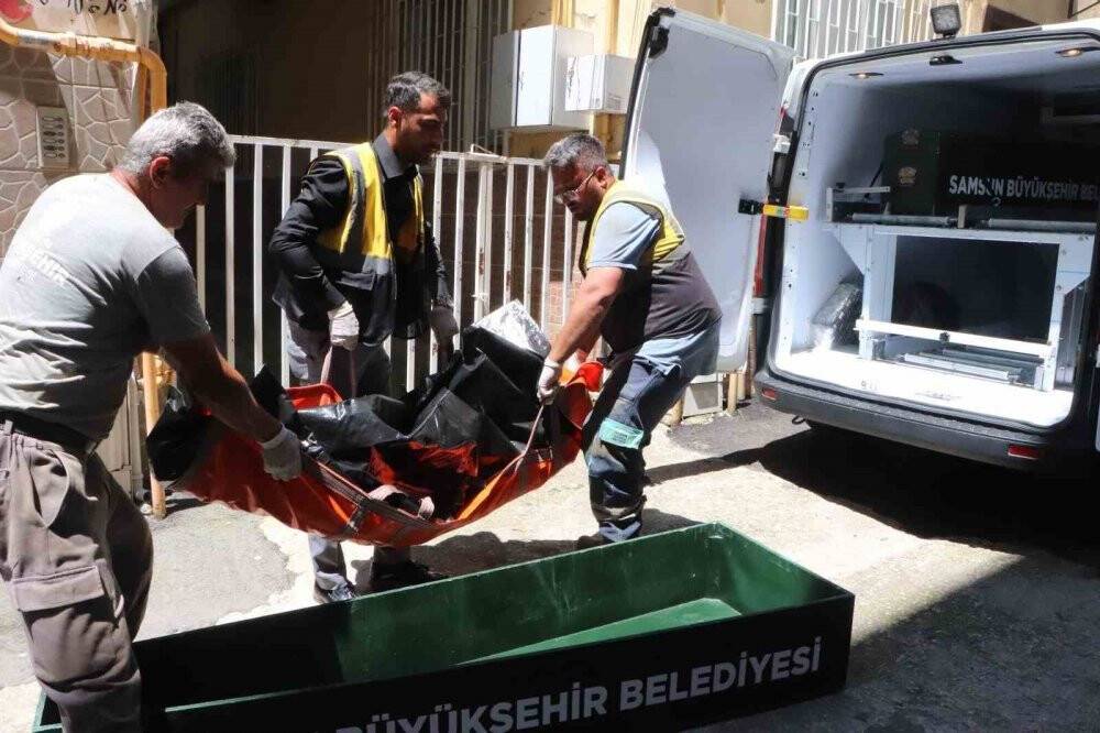 Kardeşini bıçaklayıp, intihar etti