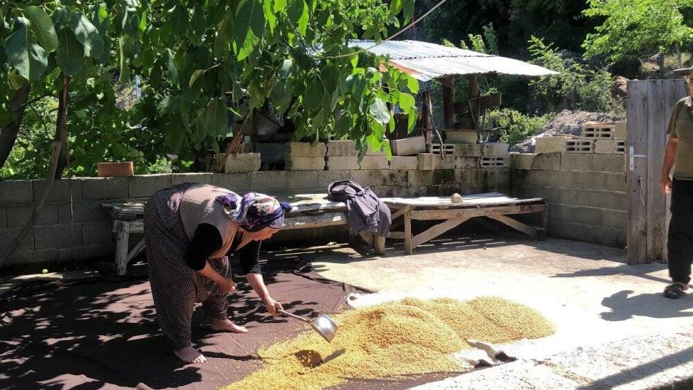 Köylülerin kışlık bulgur mesaisinde kazanlar kaynamaya başladı