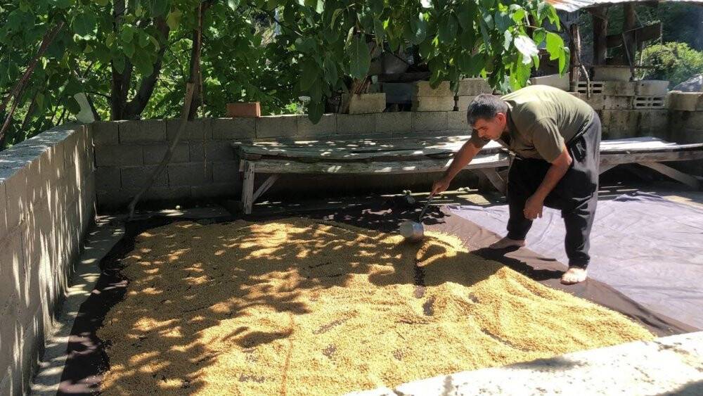 Köylülerin kışlık bulgur mesaisinde kazanlar kaynamaya başladı