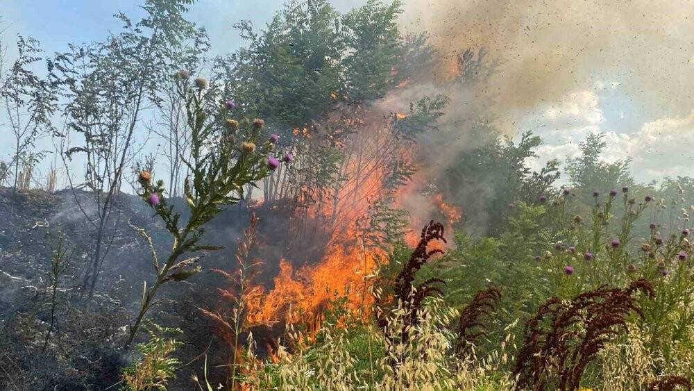 47 dönüm buğday tarlası 10 dakikada cayır cayır yandı